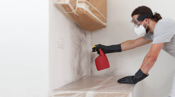 Professional Mold Remediation technician working in Round Lake, IL