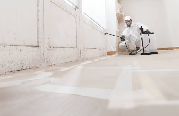 24/7 Emergency Mold Remediation experts in Round Lake, IL