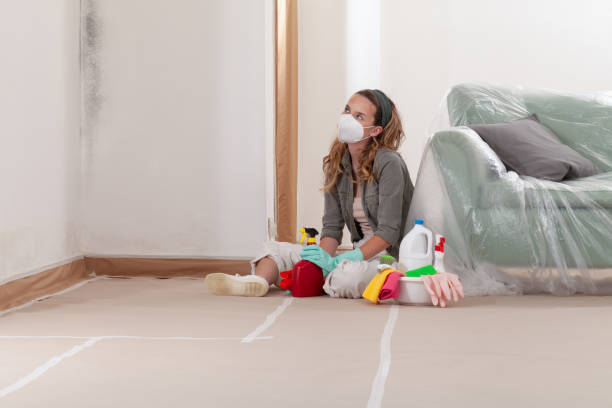 Reliable Mold Remediation contractor in Round Lake, IL by 24 Hour Mold Removal